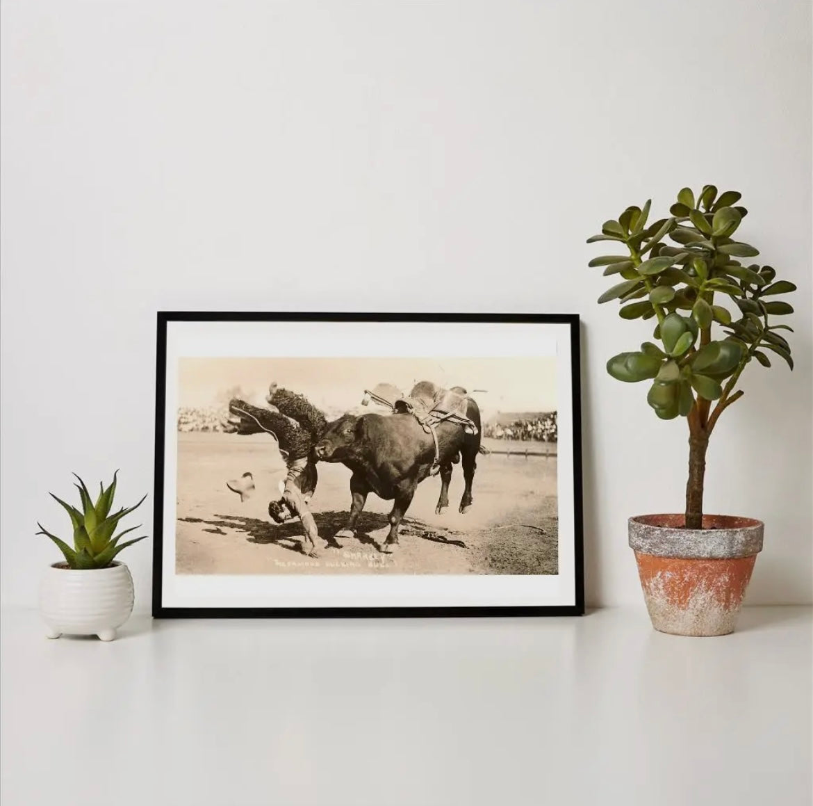 “Sharkey” print