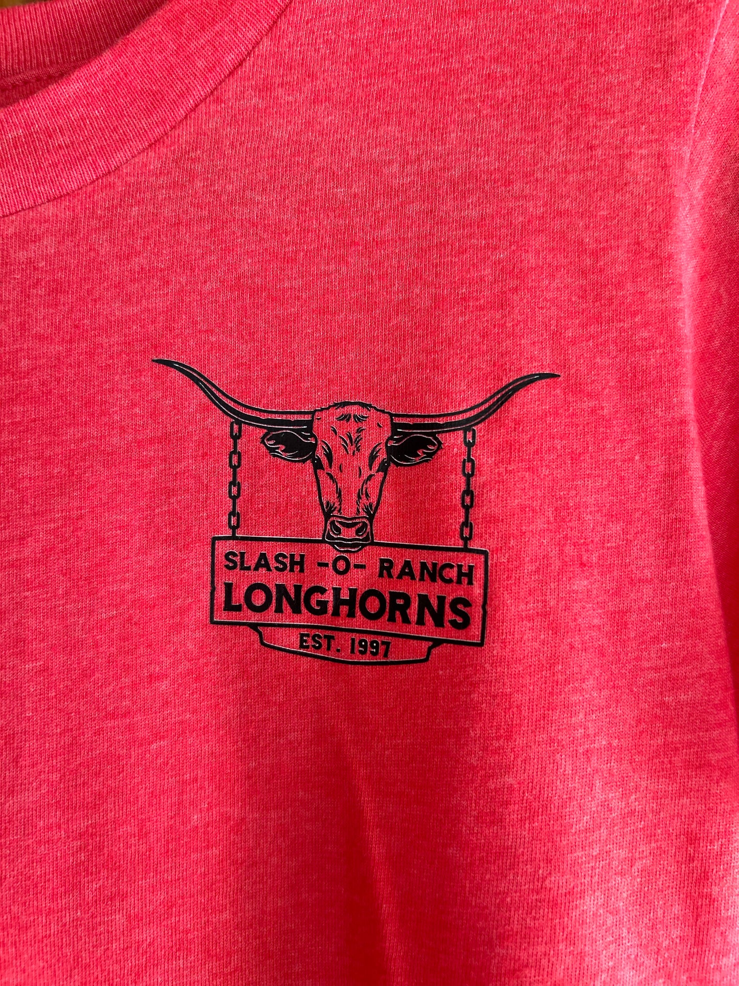 Longhorn American Flag tee