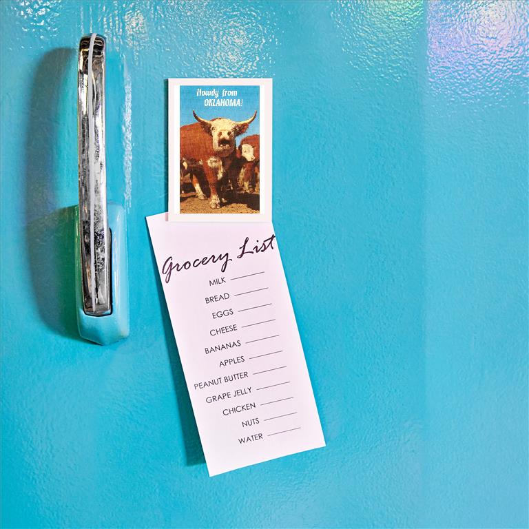 “Howdy from Oklahoma”, Hereford Steer Magnet