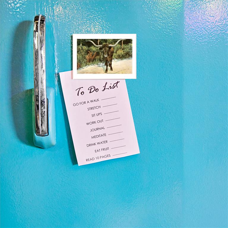 Texas Longhorn Magnet
