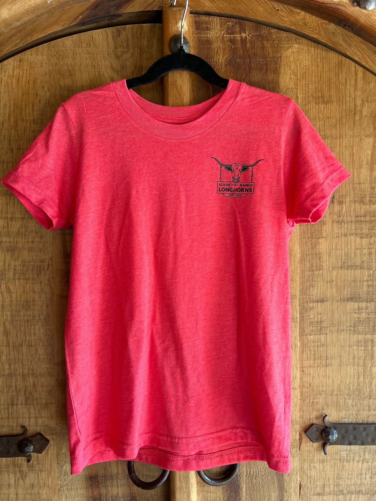 Longhorn American Flag tee