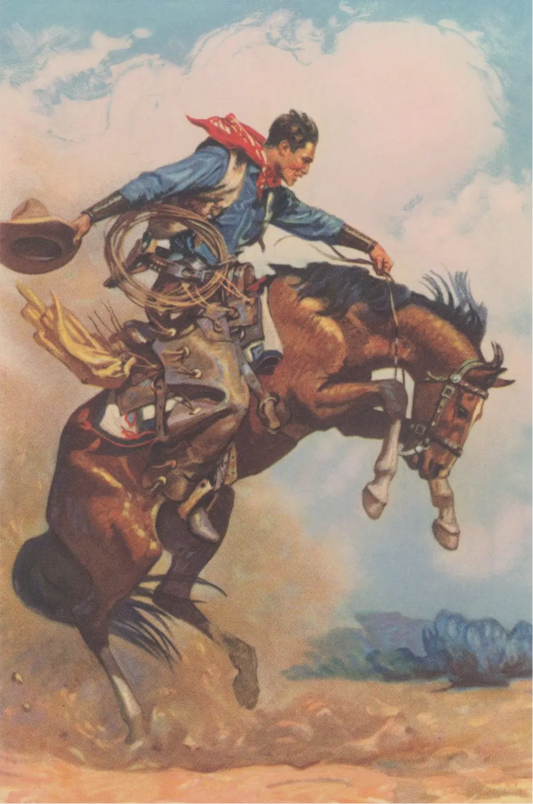 “Buckin’ Bronco” print