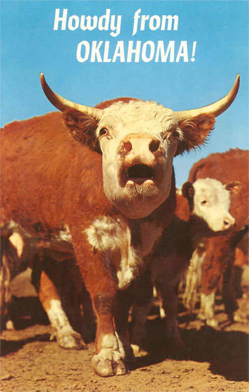 “Howdy from Oklahoma”, Hereford Steer Magnet